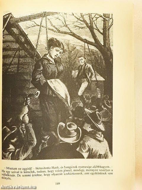 Vadnyugati történetek