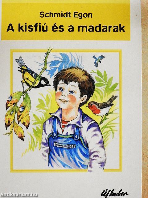 A kisfiú és a madarak