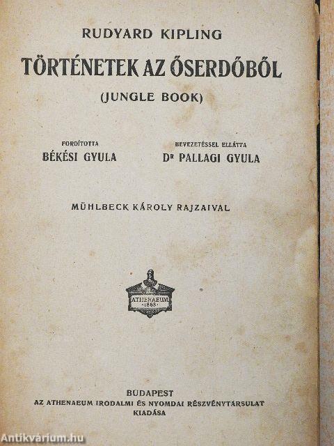 Történetek az őserdőből