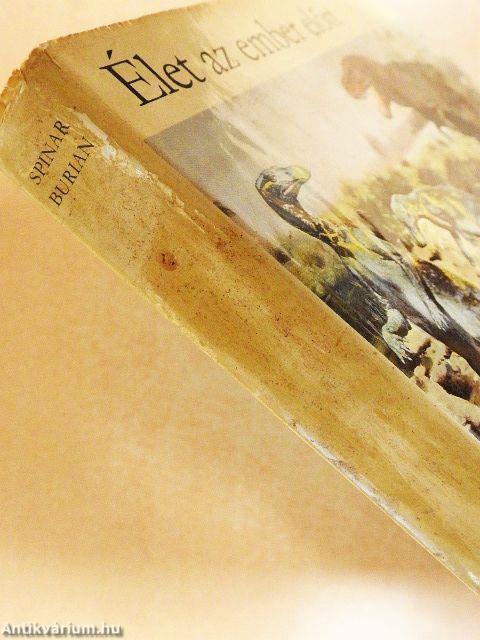 Élet az ember előtt