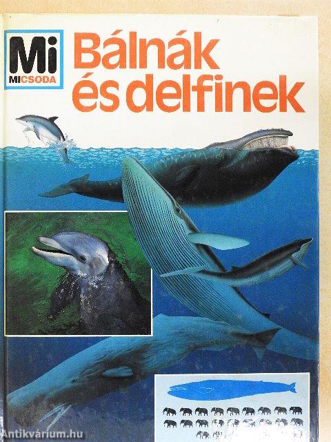 Bálnák és delfinek