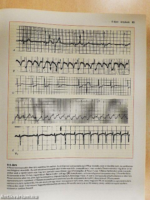 Cecil - A belgyógyászat lényege