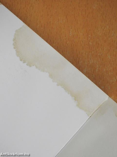 Összekent képeket láttam álmomban (dedikált példány)