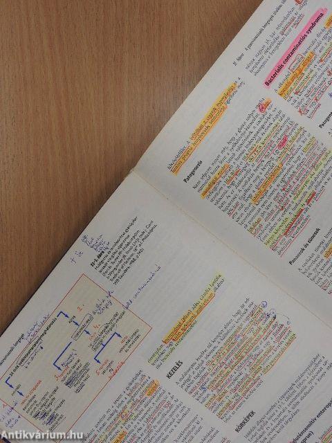 Cecil - A belgyógyászat lényege