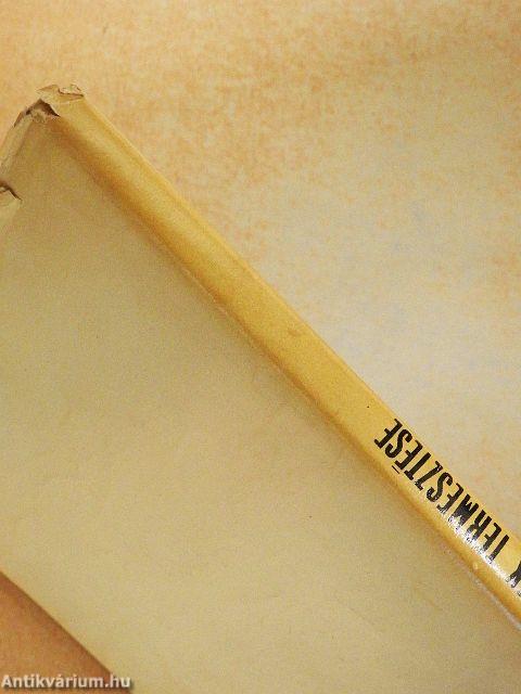 Bogyós gyümölcsűek termesztése