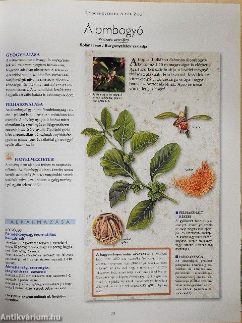 A természet füvészkertje