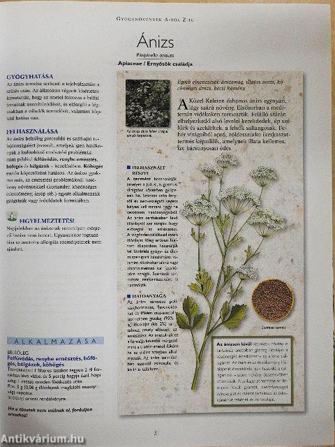 A természet füvészkertje