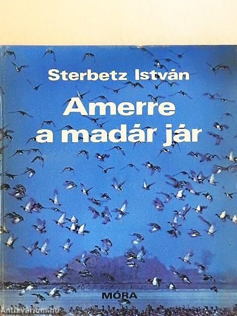 Amerre a madár jár