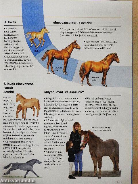 Lovak és pónik képes enciklopédiája
