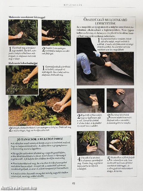 A hétvégi kertész