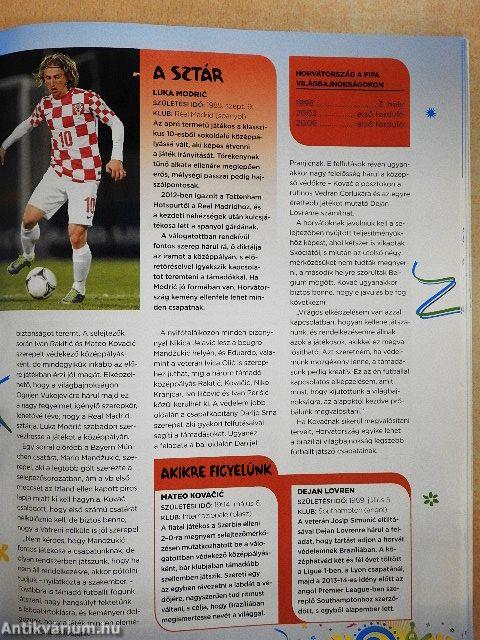 FIFA Világbajnokság Brazília 2014