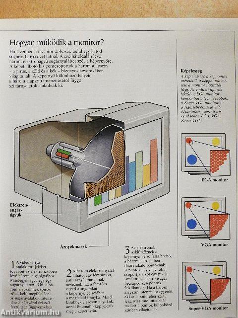 A számítógép és az MS-DOS