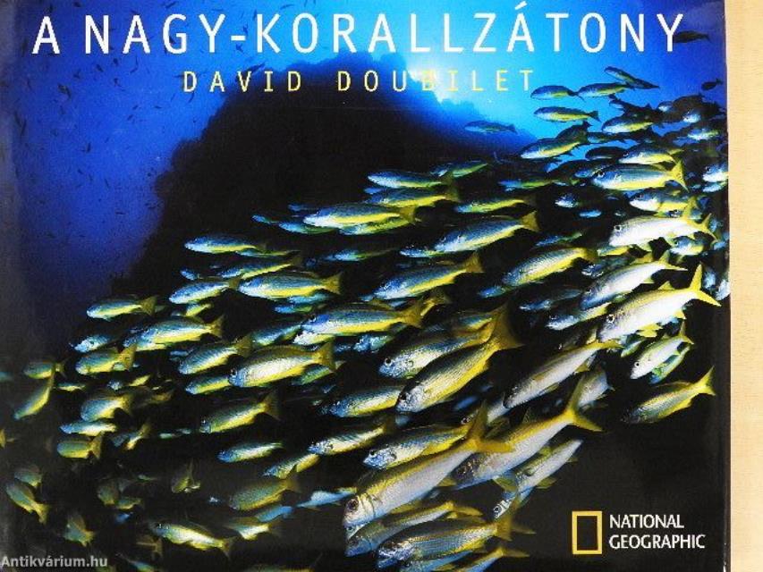 A nagy-korallzátony