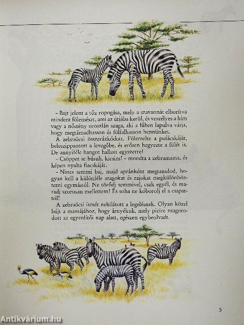 Állatmamák és állatbébik