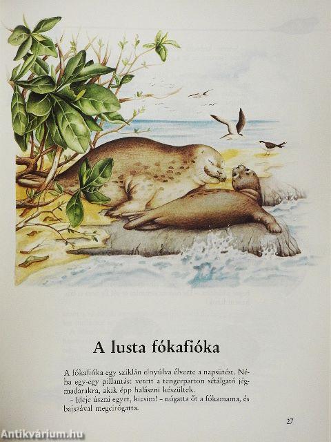 Állatmamák és állatbébik