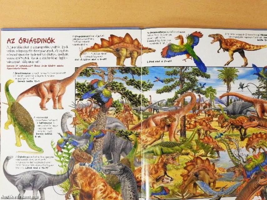 Keresd meg a dinoszauruszokat!