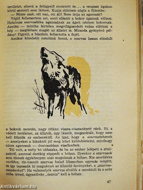 Védett erdők sűrűjében