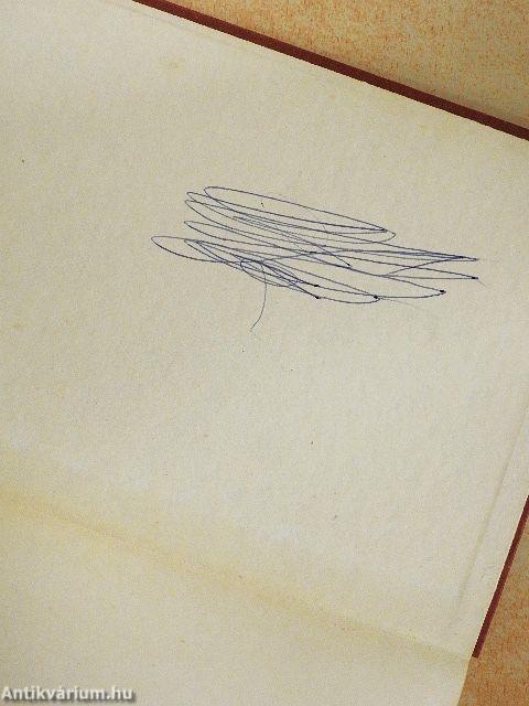 A padlásszoba kis hercegnője