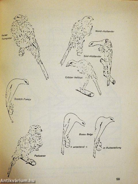 Kalitkába zárt ékszer