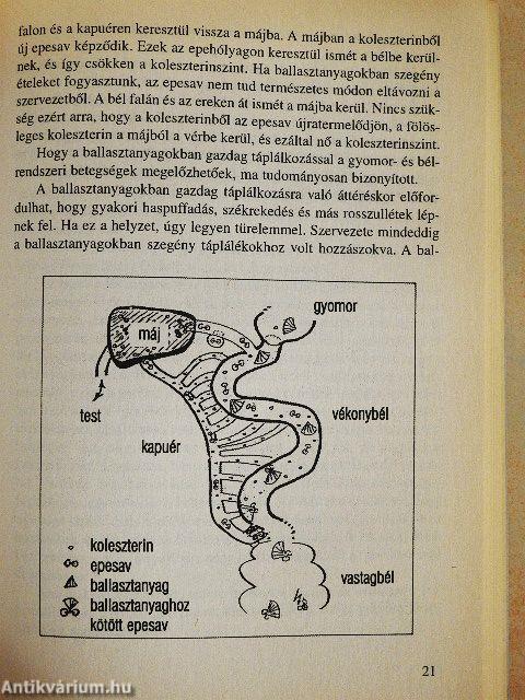 A tökéletes vegetáriánus étrend
