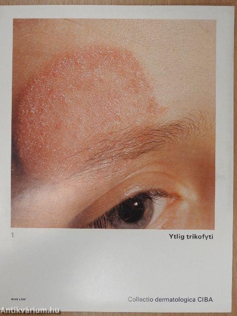 Collectio dermatologica I-II.