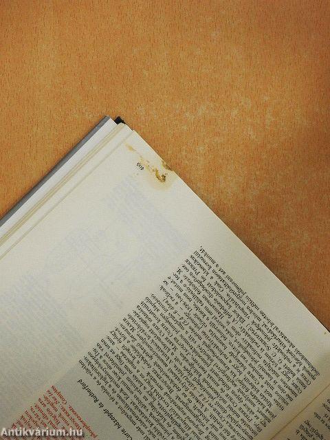 A fizika kultúrtörténete