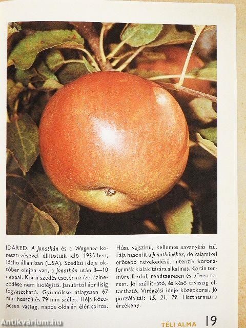 A gyümölcsfajtákról