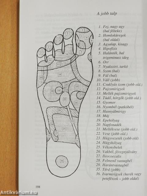 Az éltető masszázs (dedikált példány)