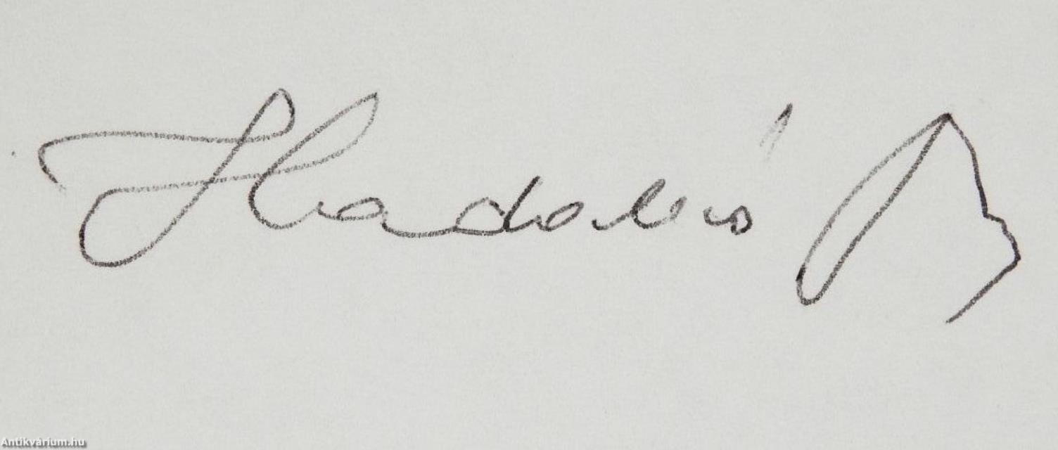 1848-1849 Sarkadon és Nagyszalontán (aláírt és dedikált példány)