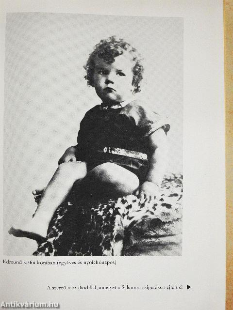 Kockázat nélkül nincs győzelem