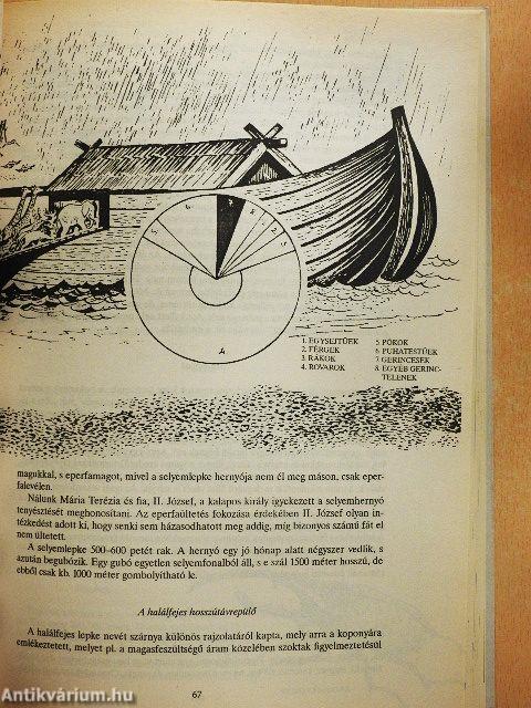 Ismeretlen világ: Az állatok