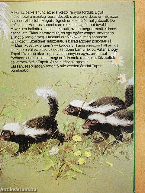 Tapsi elveszik és megkerül