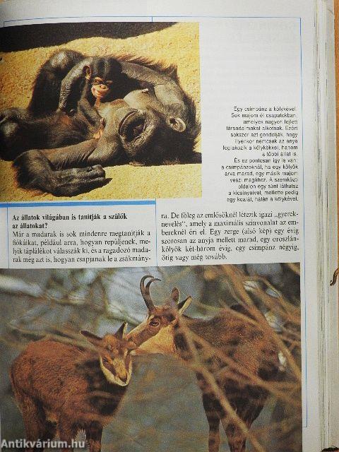 1000 kérdés 1000 válasz az állatokról
