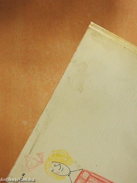 Ha én felnőtt volnék