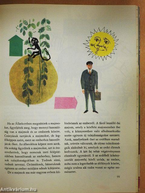 A világ és az ember