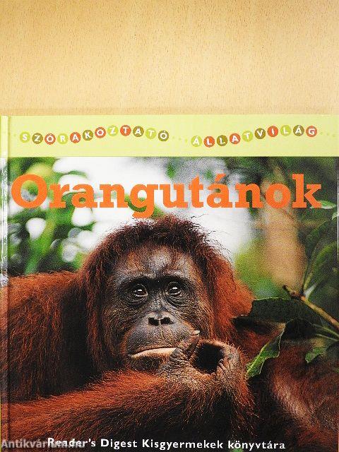 Orangutánok