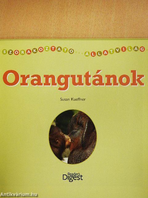 Orangutánok