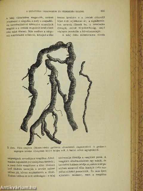 Természettudományi Közlöny 1905. (nem teljes évfolyam)/Pótfüzetek a Természettudományi Közlönyhöz 1905. január-december