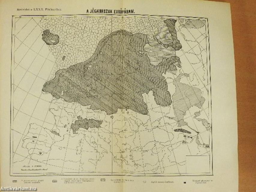Természettudományi Közlöny 1905. (nem teljes évfolyam)/Pótfüzetek a Természettudományi Közlönyhöz 1905. január-december