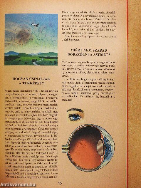 Kérdezz! Felelek mindenre