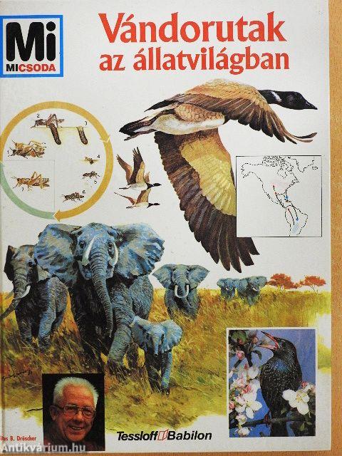 Vándorutak az állatvilágban