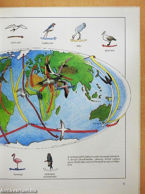 Vándorutak az állatvilágban