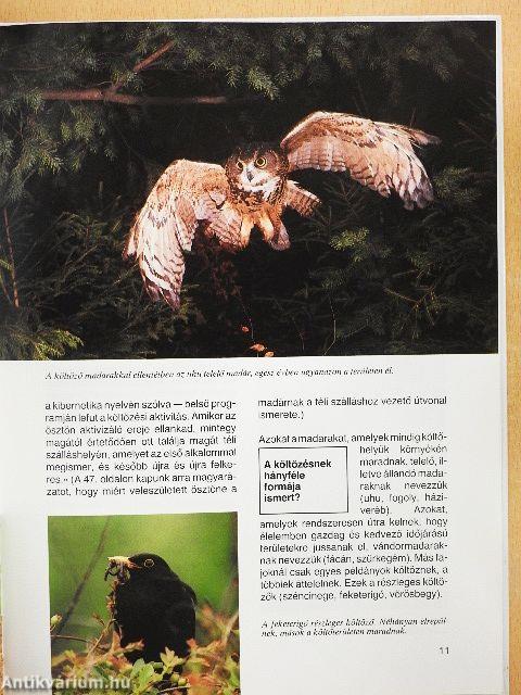 Vándorutak az állatvilágban