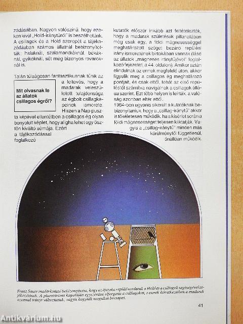 Vándorutak az állatvilágban