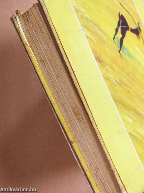 Utazás térkép nélkül