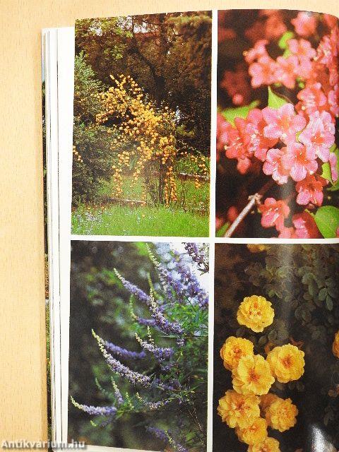 Házikerti kézikönyv