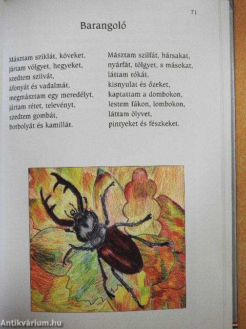 Kicsi versek kicsinyeknek