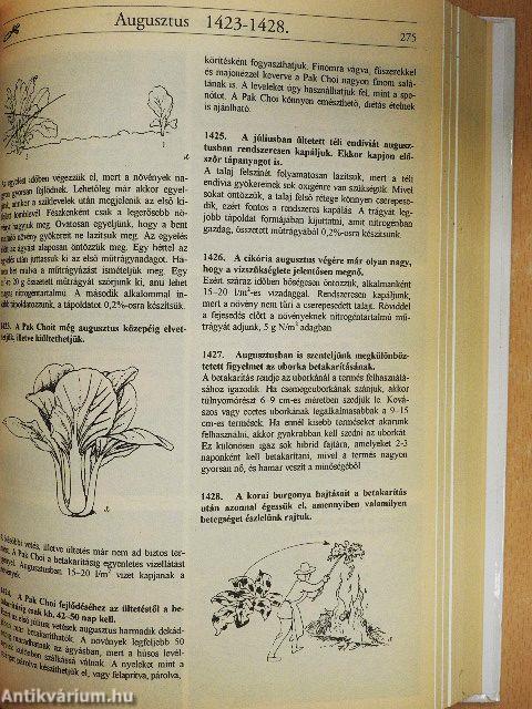 Kertészkedés egész évben