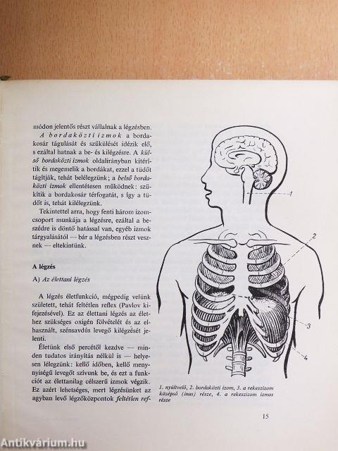 A beszéd művészete
