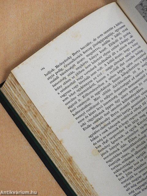 Pintér Jenő magyar irodalomtörténete I.